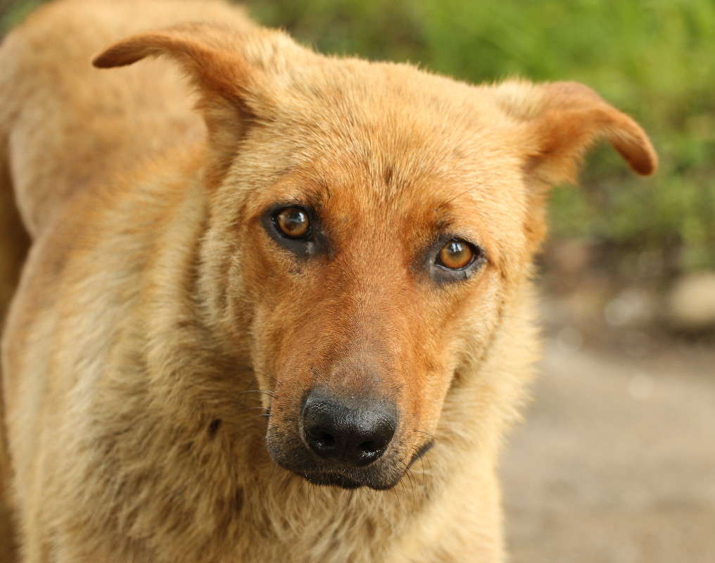 �� ��� ��������. ����� ������ ������ �� PhotoGeek.ru #�������� ���