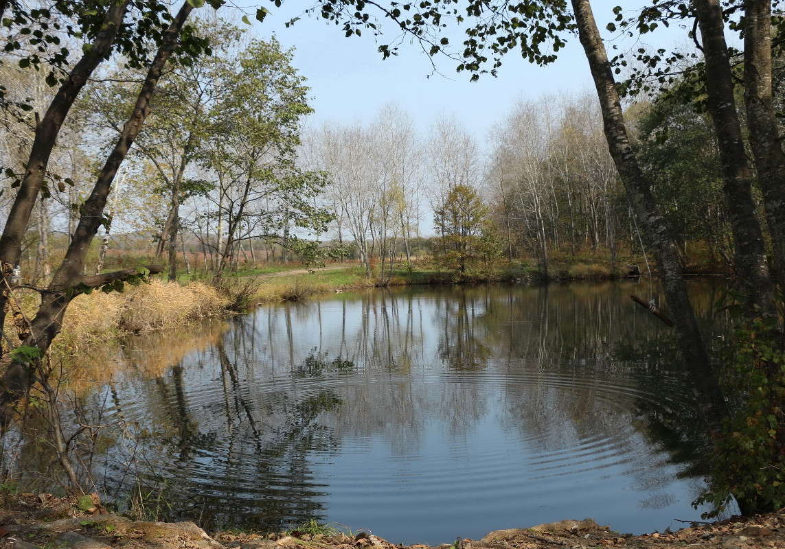 ... ����� ������ ������ �� PhotoGeek.ru #������ ��� �������