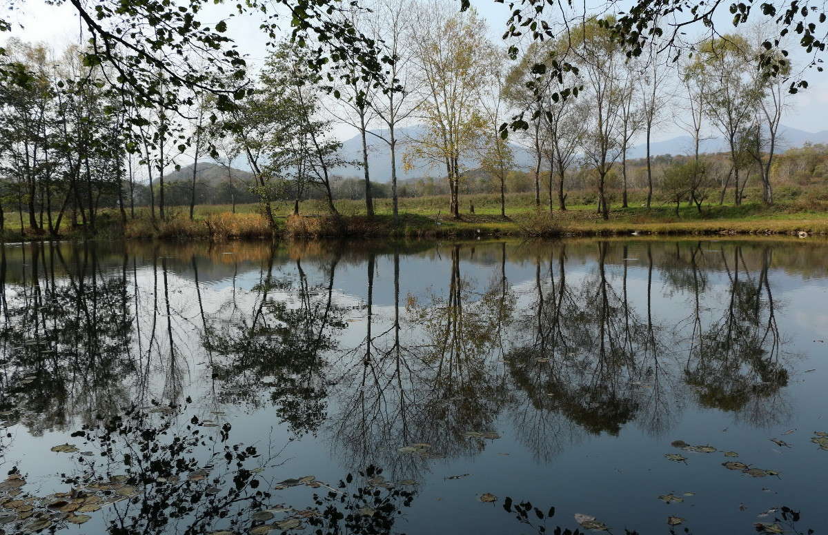 ... ����� ������ ������ �� PhotoGeek.ru #�������� ����������