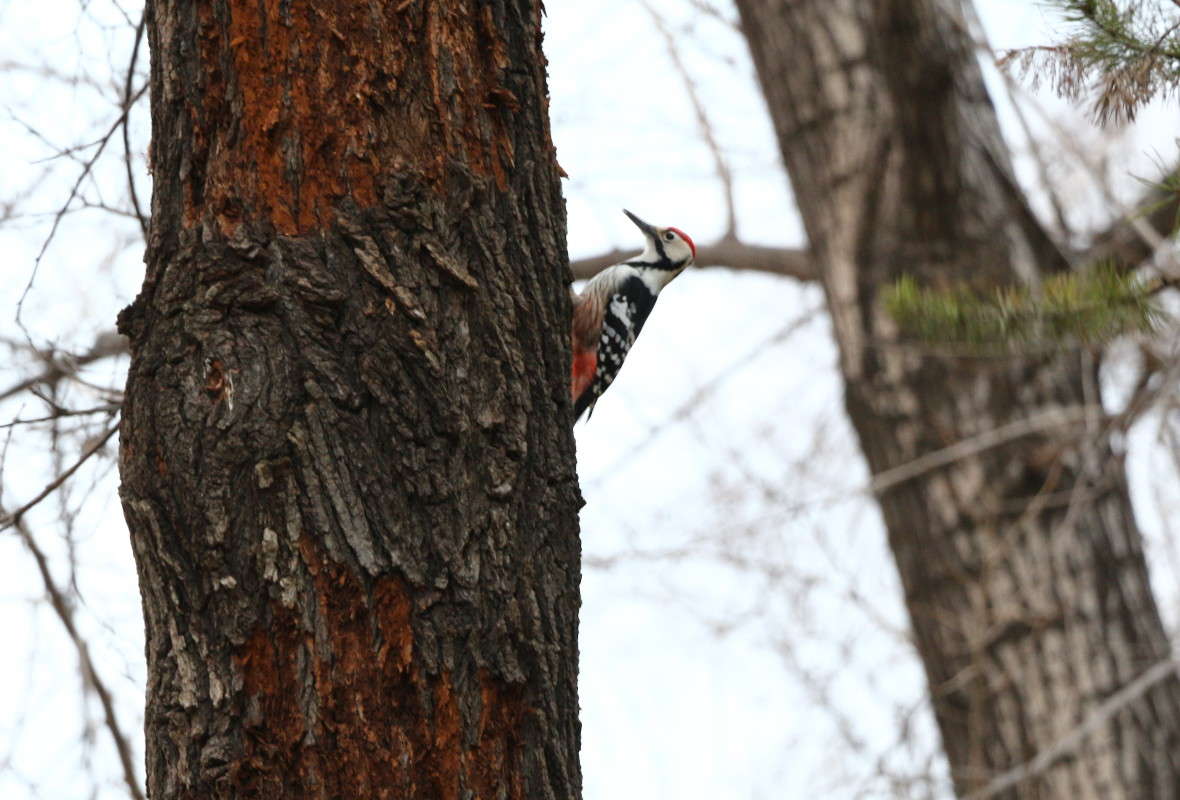 ����� ����� ������ ������ �� PhotoGeek.ru #�������� ���