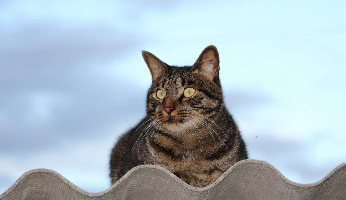 ����. ����� ������ ������ �� PhotoGeek.ru #�������� ���