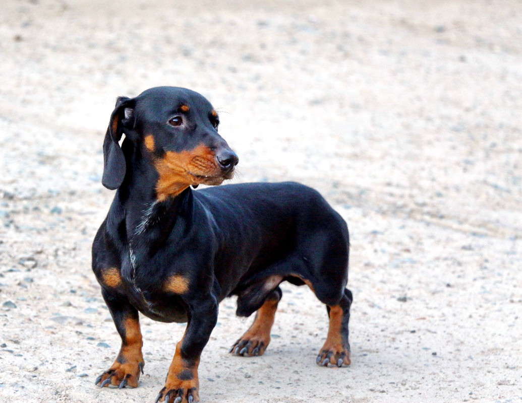 ... ����� ������ ������ �� PhotoGeek.ru #�������� ���