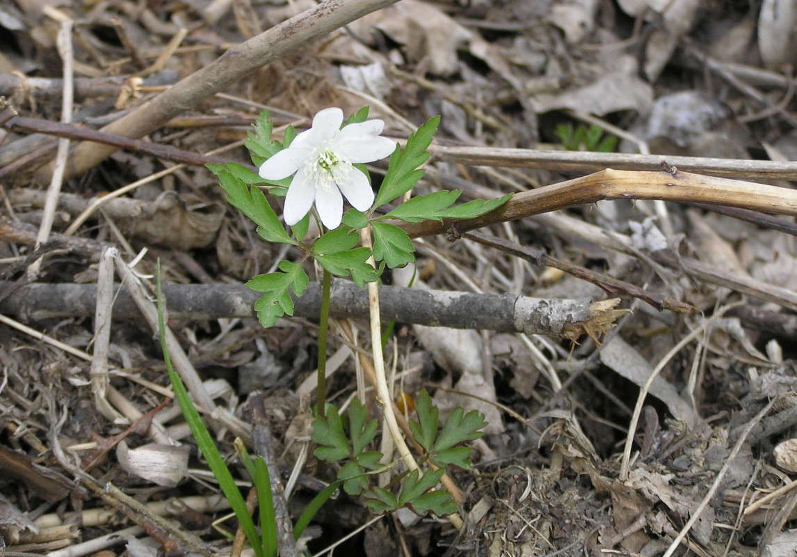 ... ����� ������ ������ �� PhotoGeek.ru #������ ��� �������