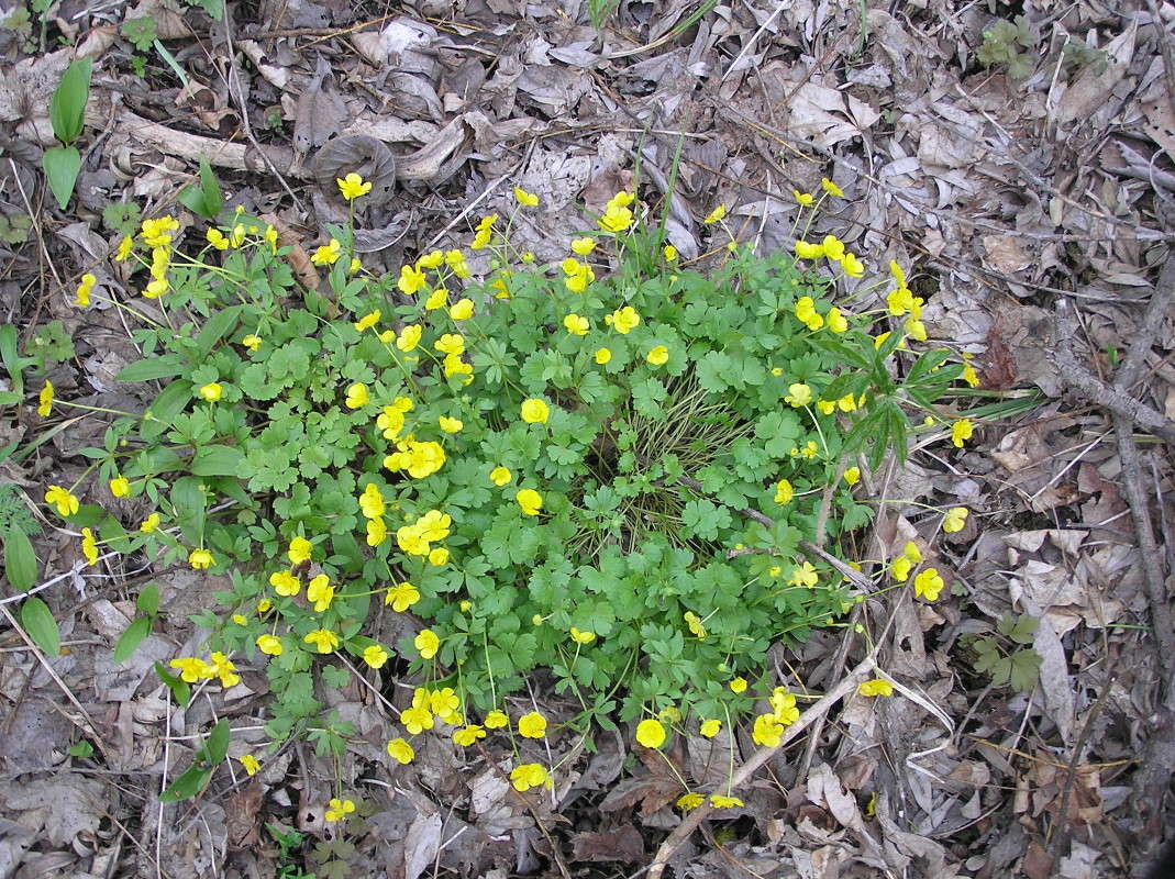 ... ����� ������ ������ �� PhotoGeek.ru #������ ��� �������