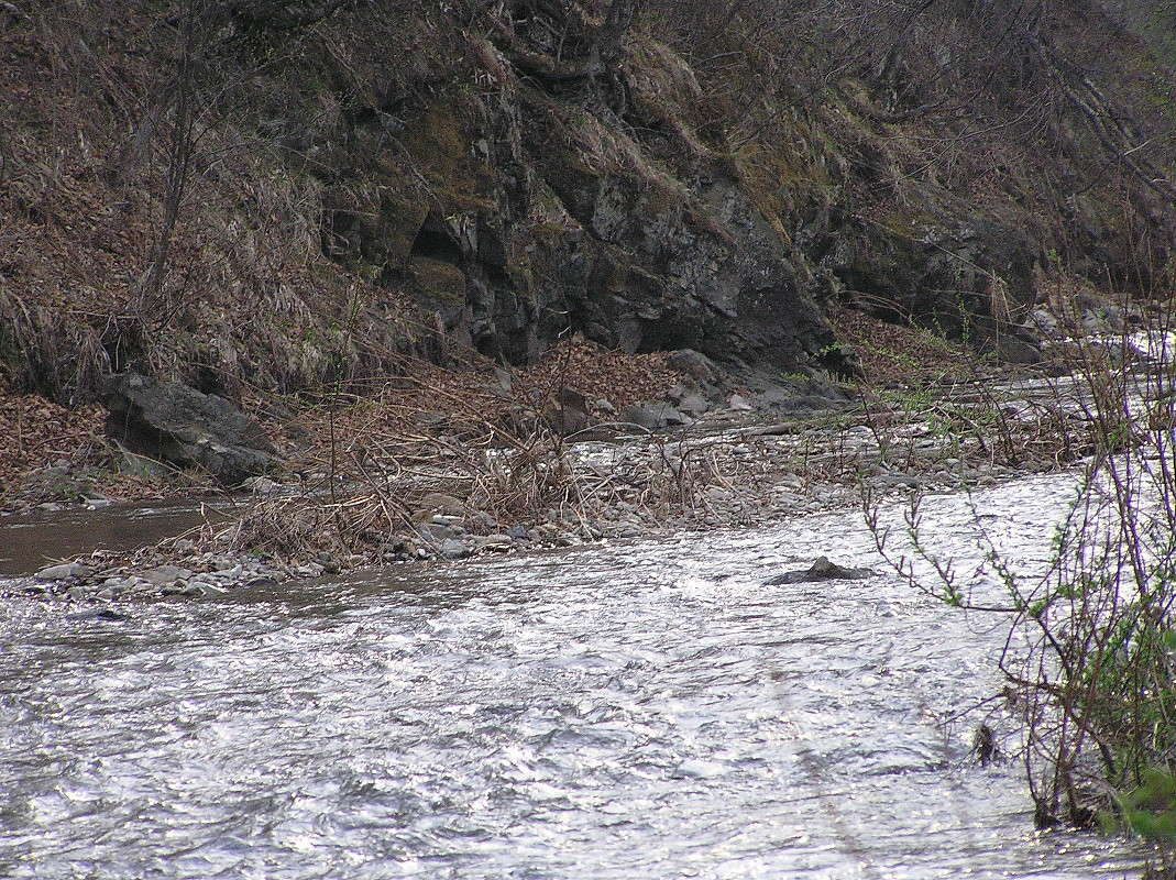 ... ����� ������ ������ �� PhotoGeek.ru #������ ��� �������