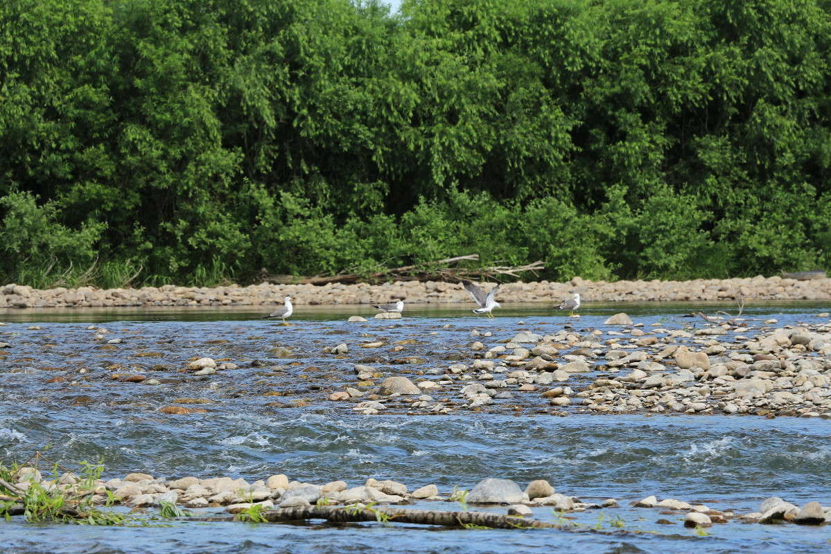 ��������� �������. ����� ������ ������ �� PhotoGeek.ru #������ ��� �������