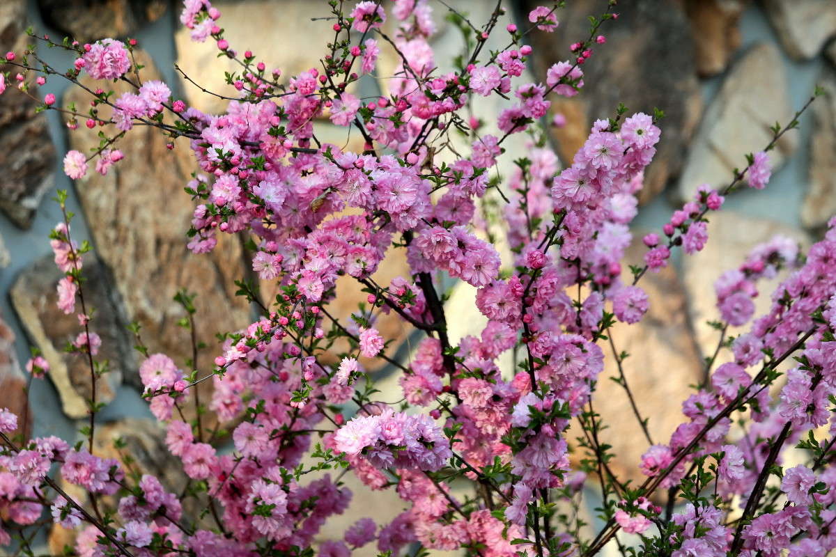 ������ ����� ������ ������ �� PhotoGeek.ru #������ ��� �������