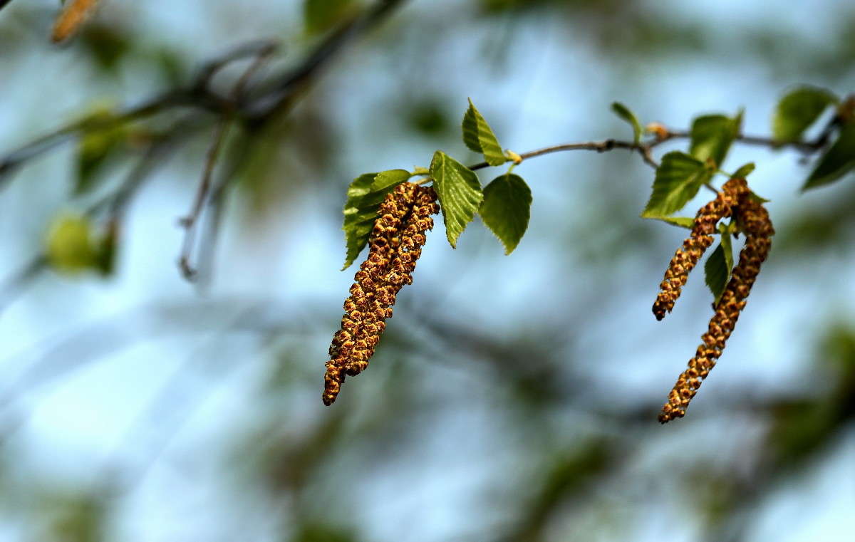 ... ����� ������ ������ �� PhotoGeek.ru #������ ��� �������