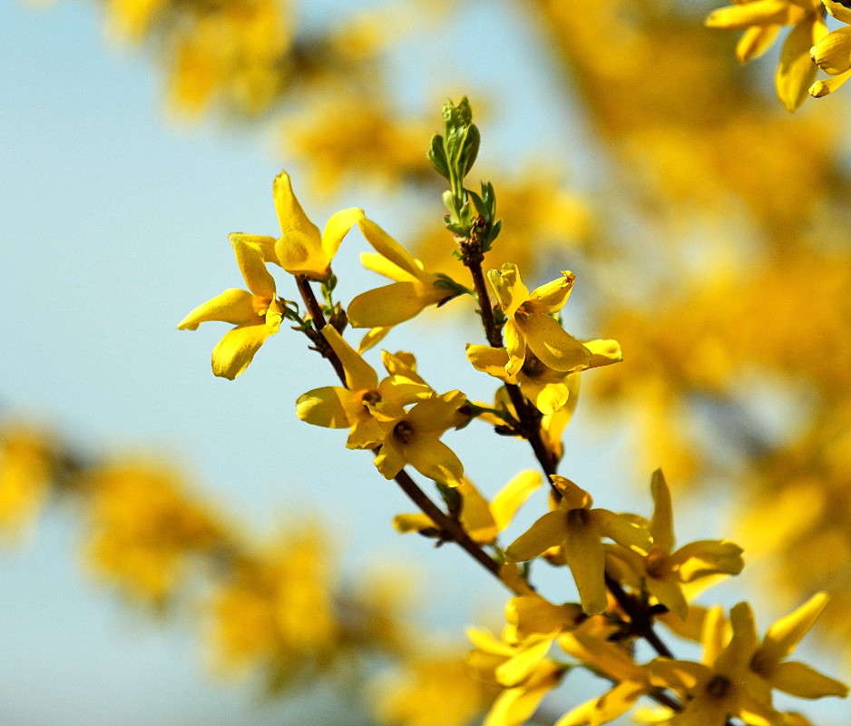 ... ����� ������ ������ �� PhotoGeek.ru #������ ��� �������