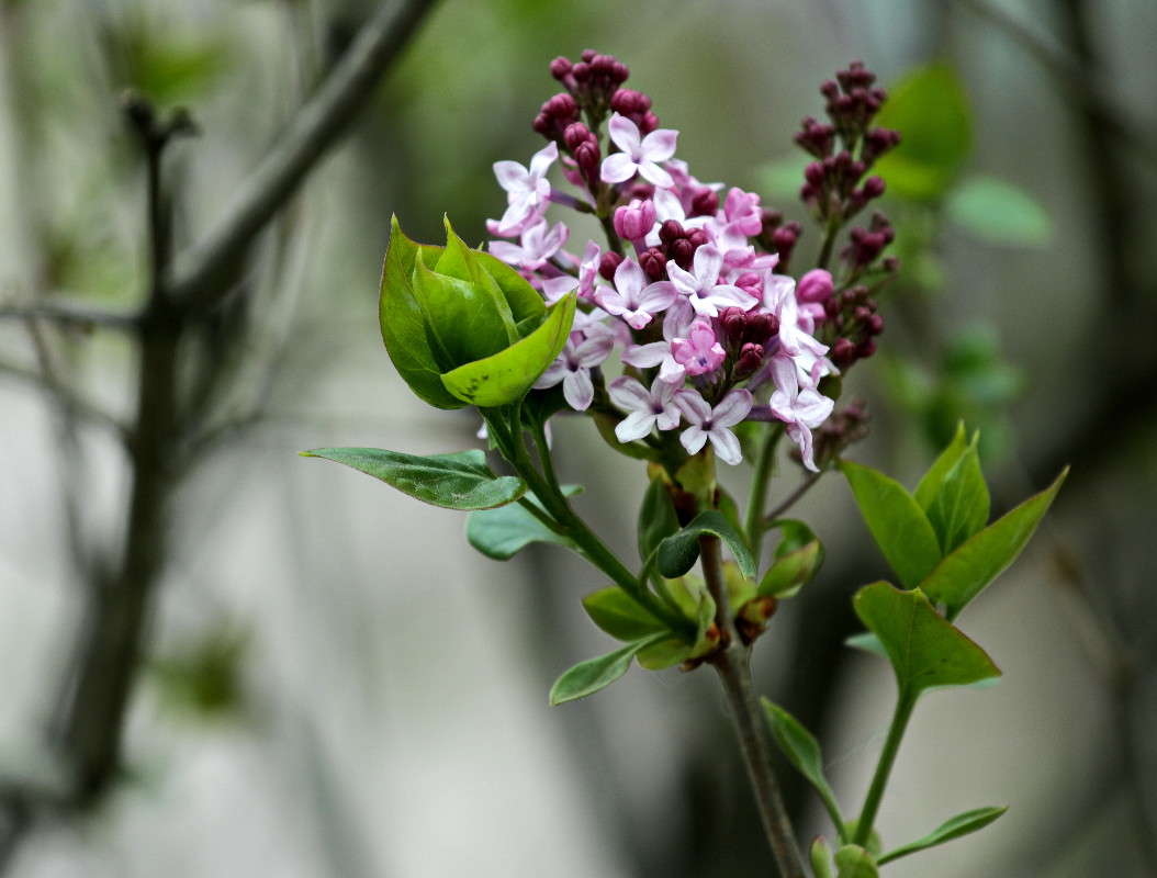 ... ����� ������ ������ �� PhotoGeek.ru #������ ��� �������