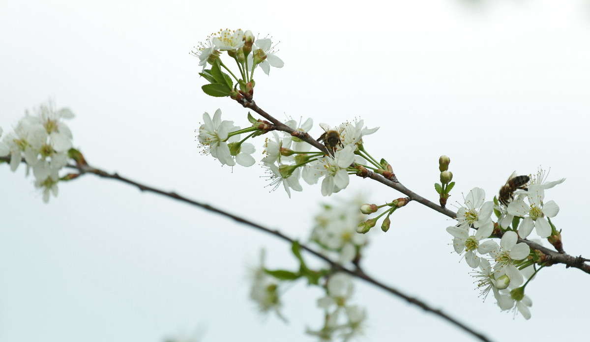 ... ����� ������ ������ �� PhotoGeek.ru #������ ��� �������