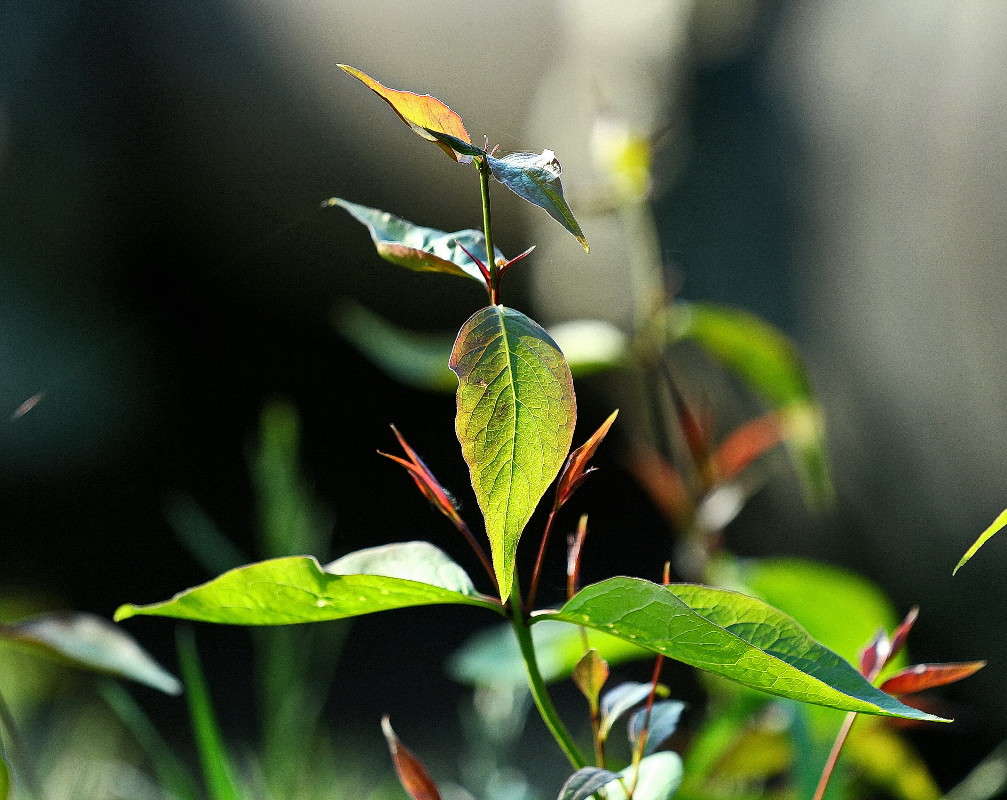 ... ����� ������ ������ �� PhotoGeek.ru #������ ��� �������