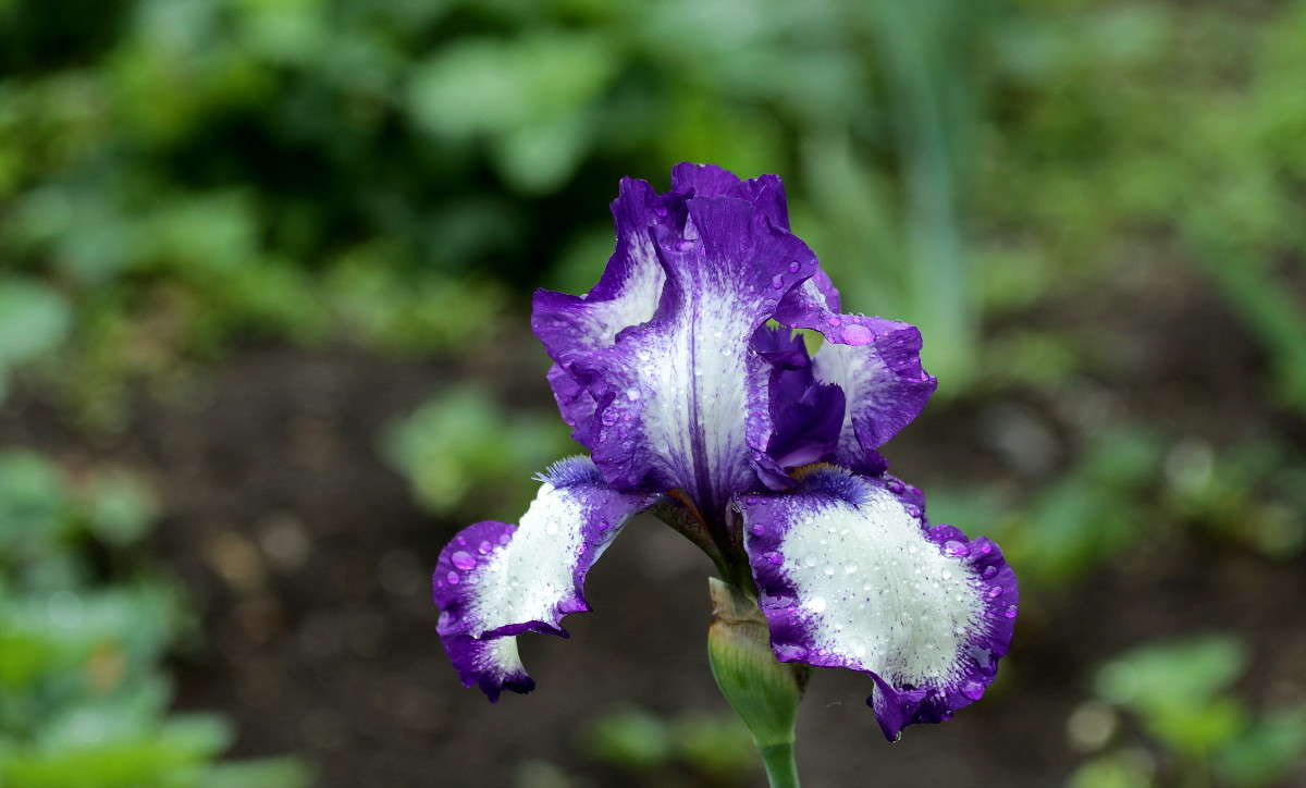 ������ ����� ������ ������ �� PhotoGeek.ru #������ ��� �������