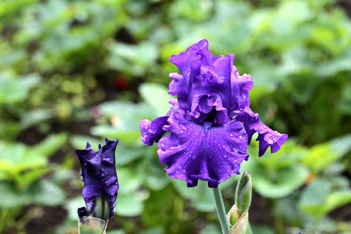 ���� ����� ������ ������ �� PhotoGeek.ru #������ ��� �������