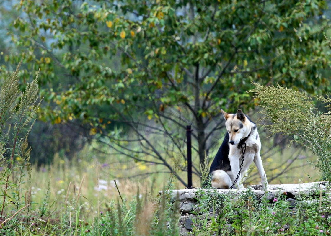 ������������� ����� ������ ������ �� PhotoGeek.ru #�������� ���