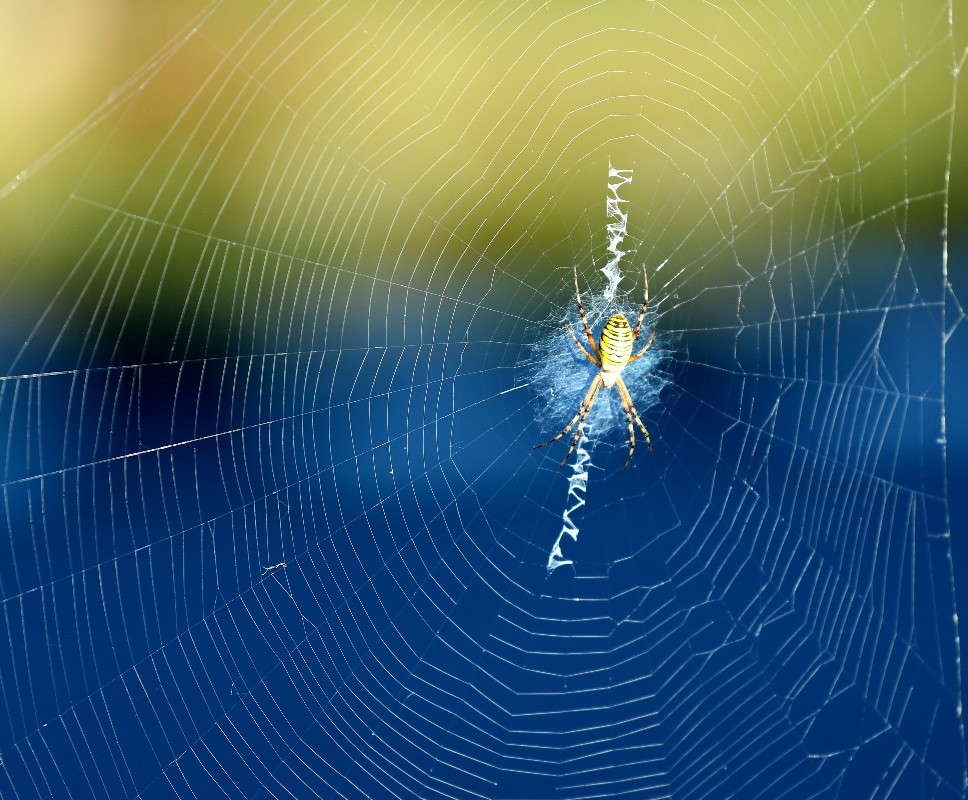 � �������� �����... ����� ������ ������ �� PhotoGeek.ru #������ ��� �������