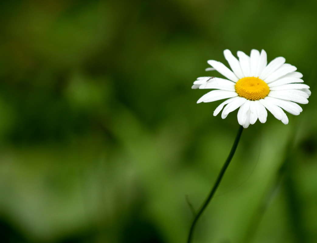 ... ����� ������ ������ �� PhotoGeek.ru #������ ��� �������