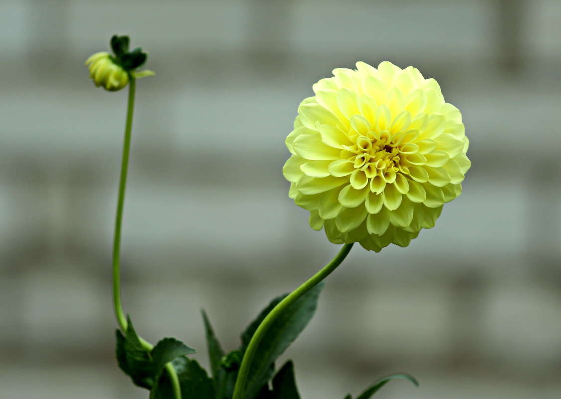 ... ����� ������ ������ �� PhotoGeek.ru #������ ��� �������