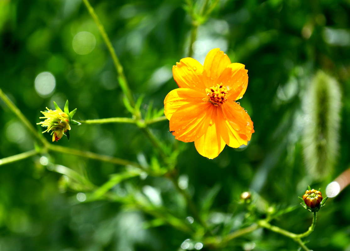 ... ����� ������ ������ �� PhotoGeek.ru #������ ��� �������