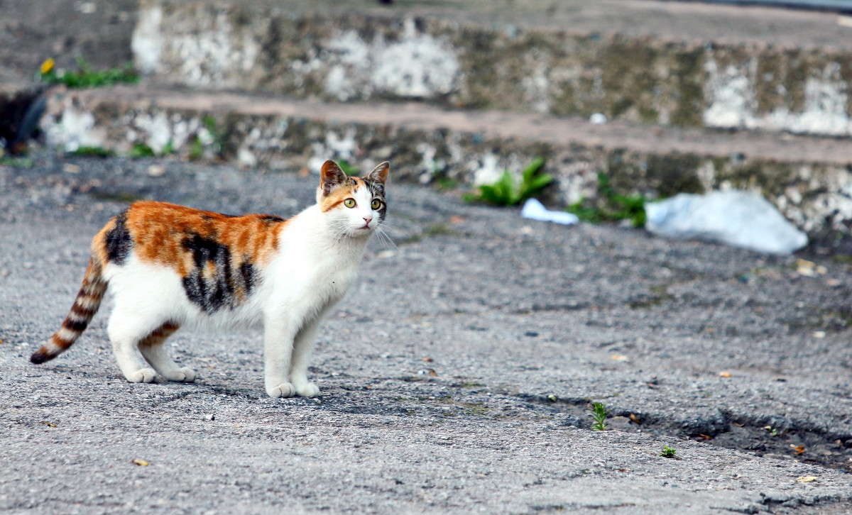 ... ����� ������ ������ �� PhotoGeek.ru #�������� ���