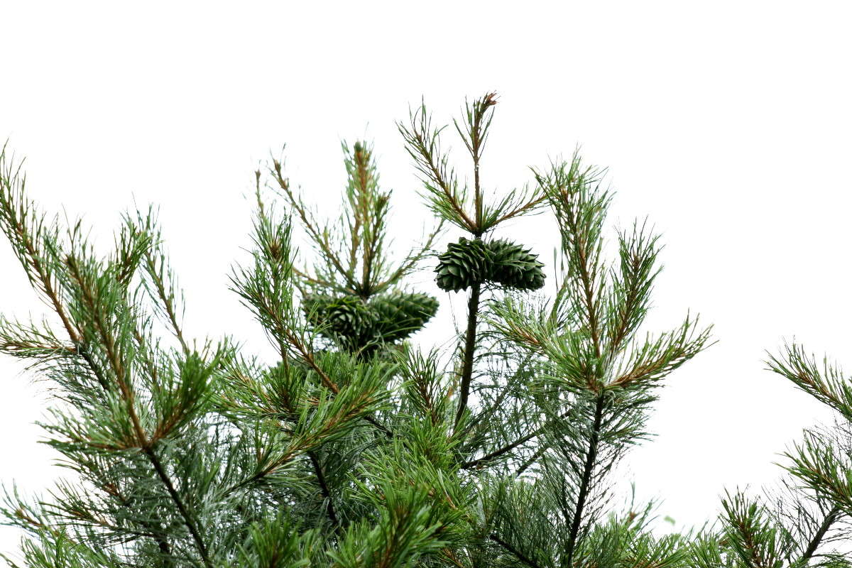 ���� �����. ����� ������ ������ �� PhotoGeek.ru #������ ��� �������