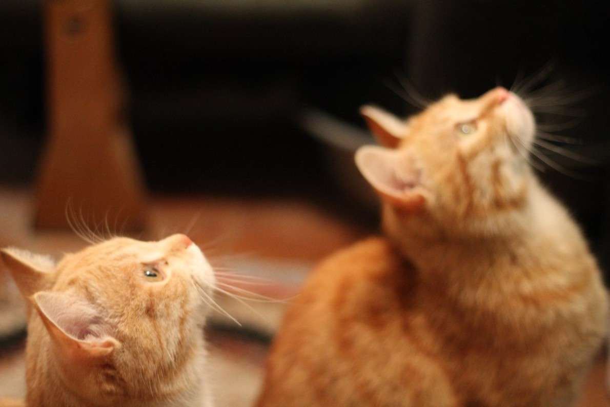 � �������� ����� ������ ������� �� PhotoGeek.ru #�������� ���