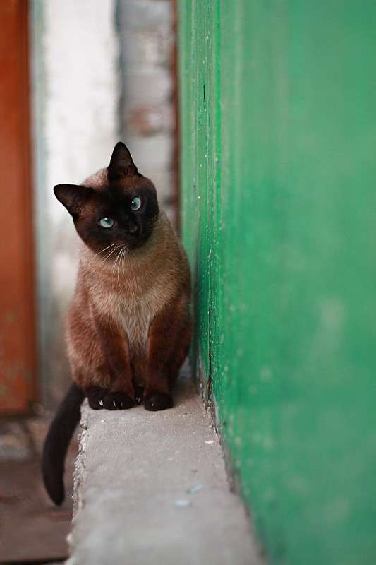 ��� ����� ������ ������� �� PhotoGeek.ru #�������� ���