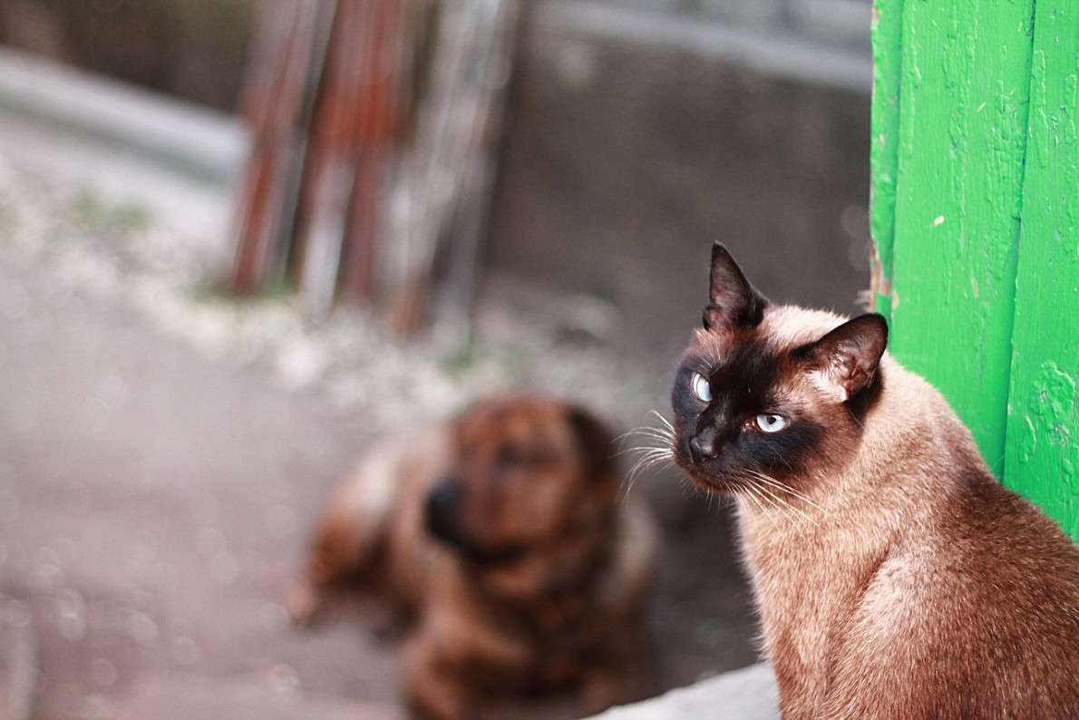 ... ����� ������ ������� �� PhotoGeek.ru #�������� ��� #�������