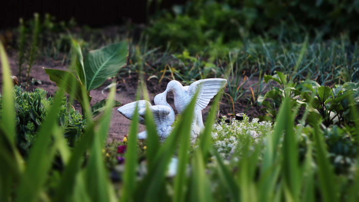 ������ ����� ������ ������� �� PhotoGeek.ru #������ ��� �������