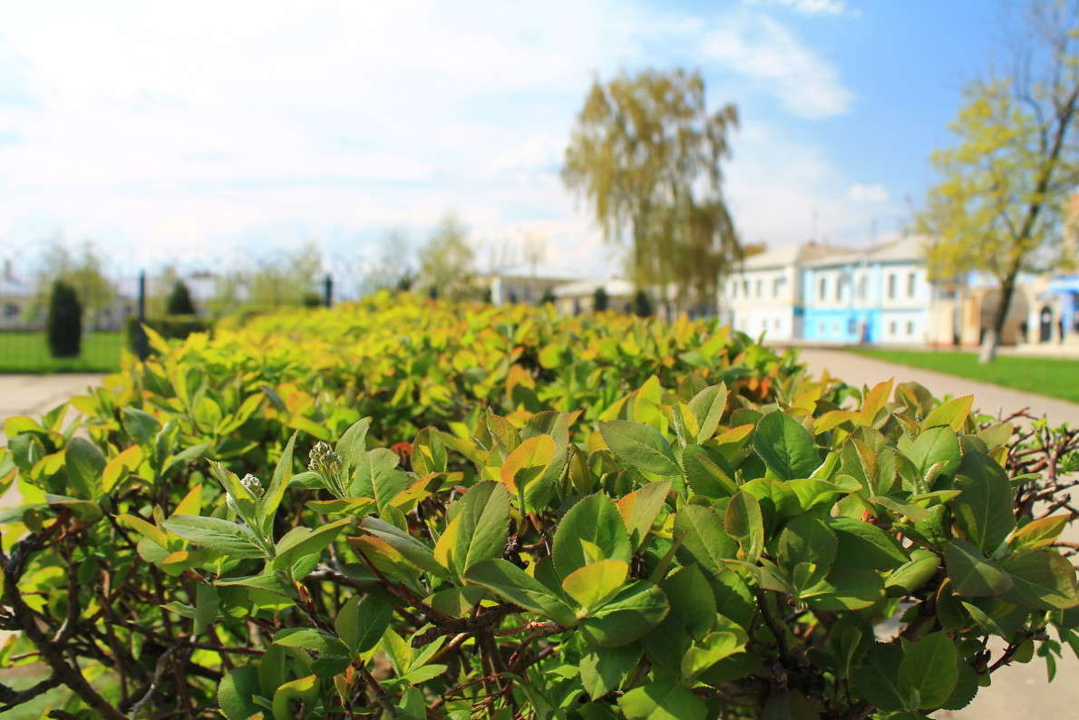 ... ����� ������ ������� �� PhotoGeek.ru #������ ��� �������