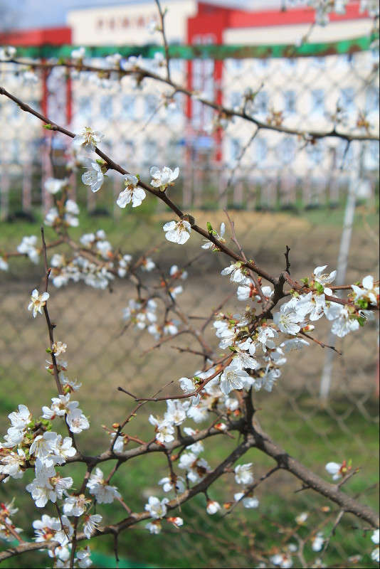 ... ����� ������ ������� �� PhotoGeek.ru #������ ��� �������