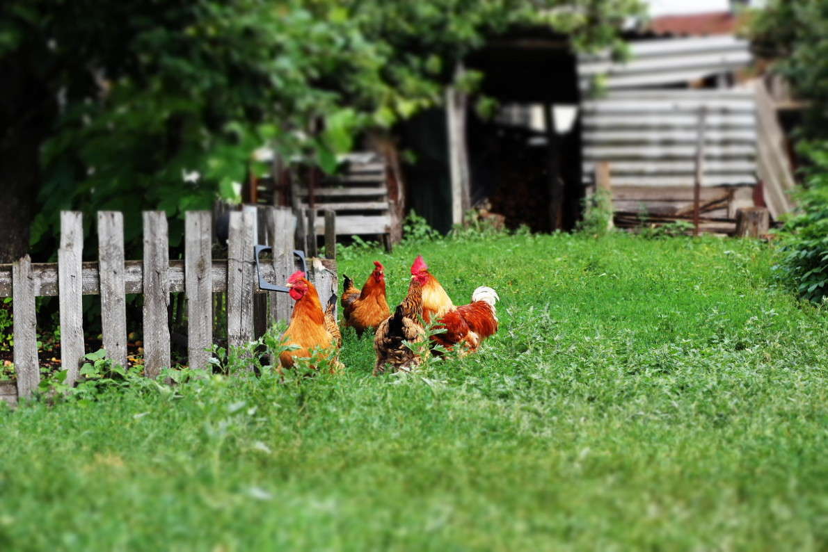 ... ����� ������ ������� �� PhotoGeek.ru #�������� ���