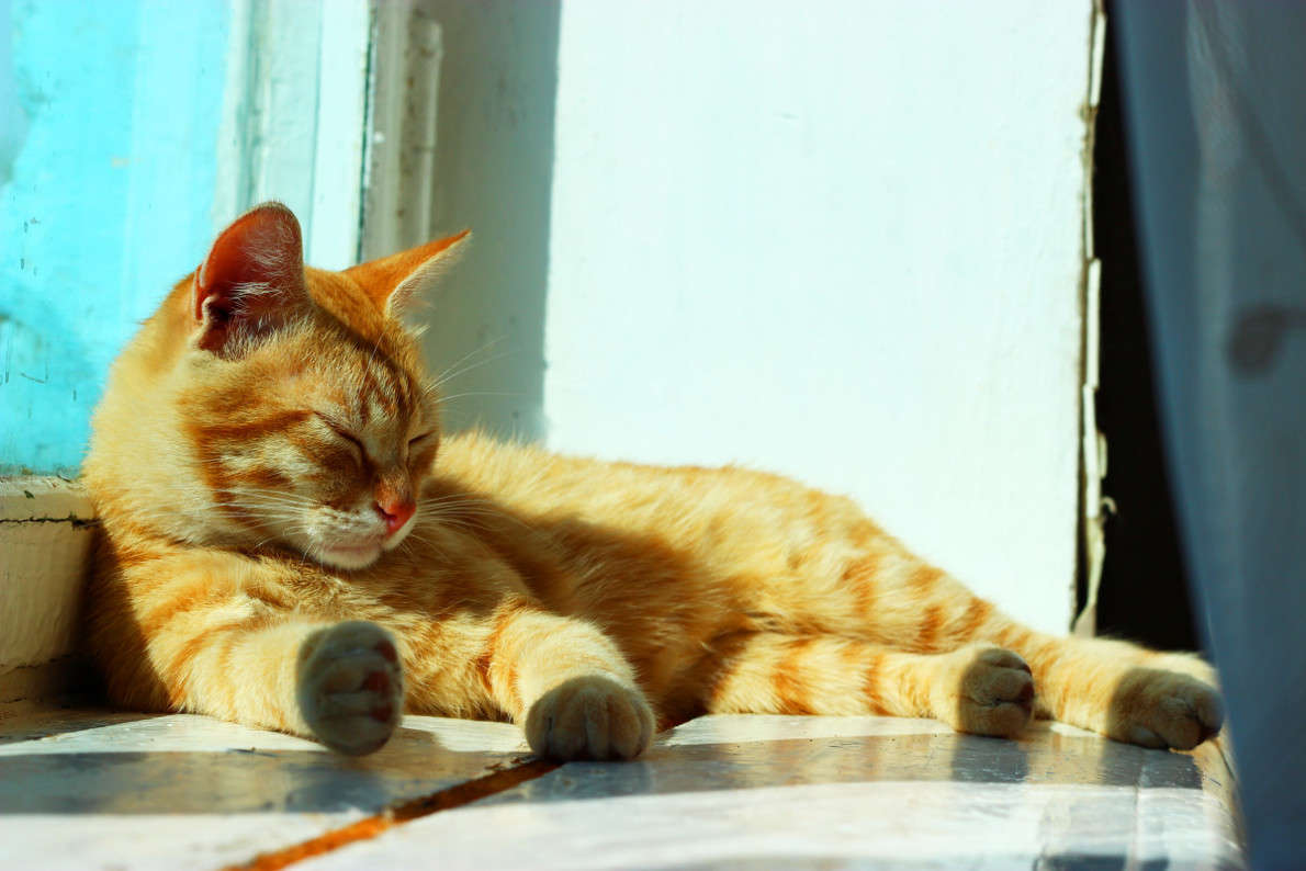 ������� ����� ������ ������� �� PhotoGeek.ru #�������� ���