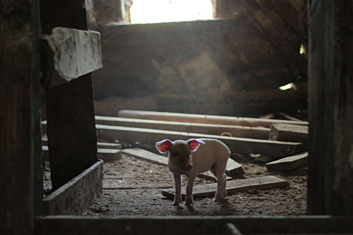 ���������� ��������� ����� ������ ������� �� PhotoGeek.ru #�������� ���