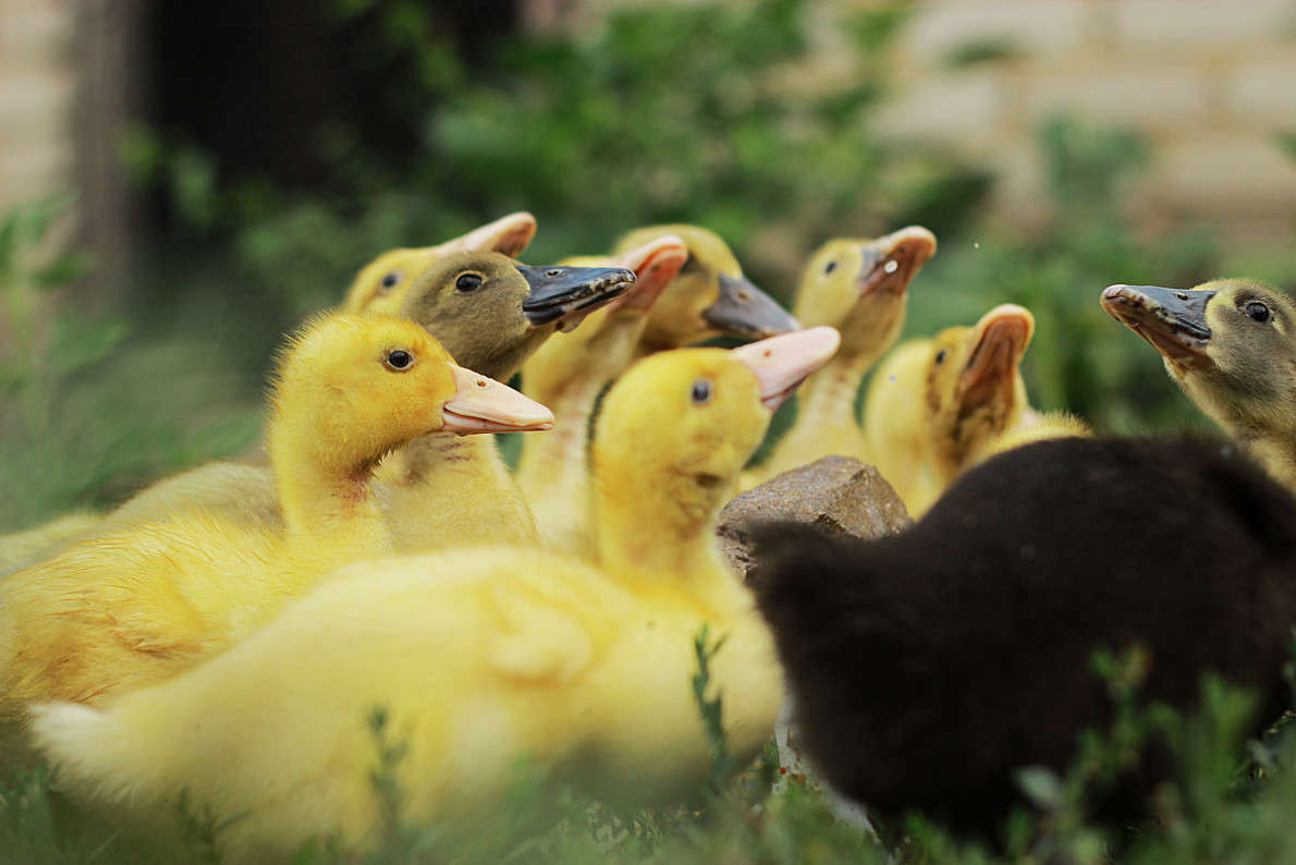 ������� ����� ������ ������� �� PhotoGeek.ru #�������� ���