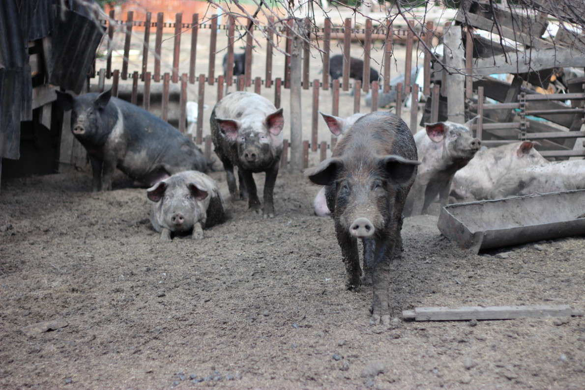 ��������� ����� ������ ������� �� PhotoGeek.ru #�������� ���