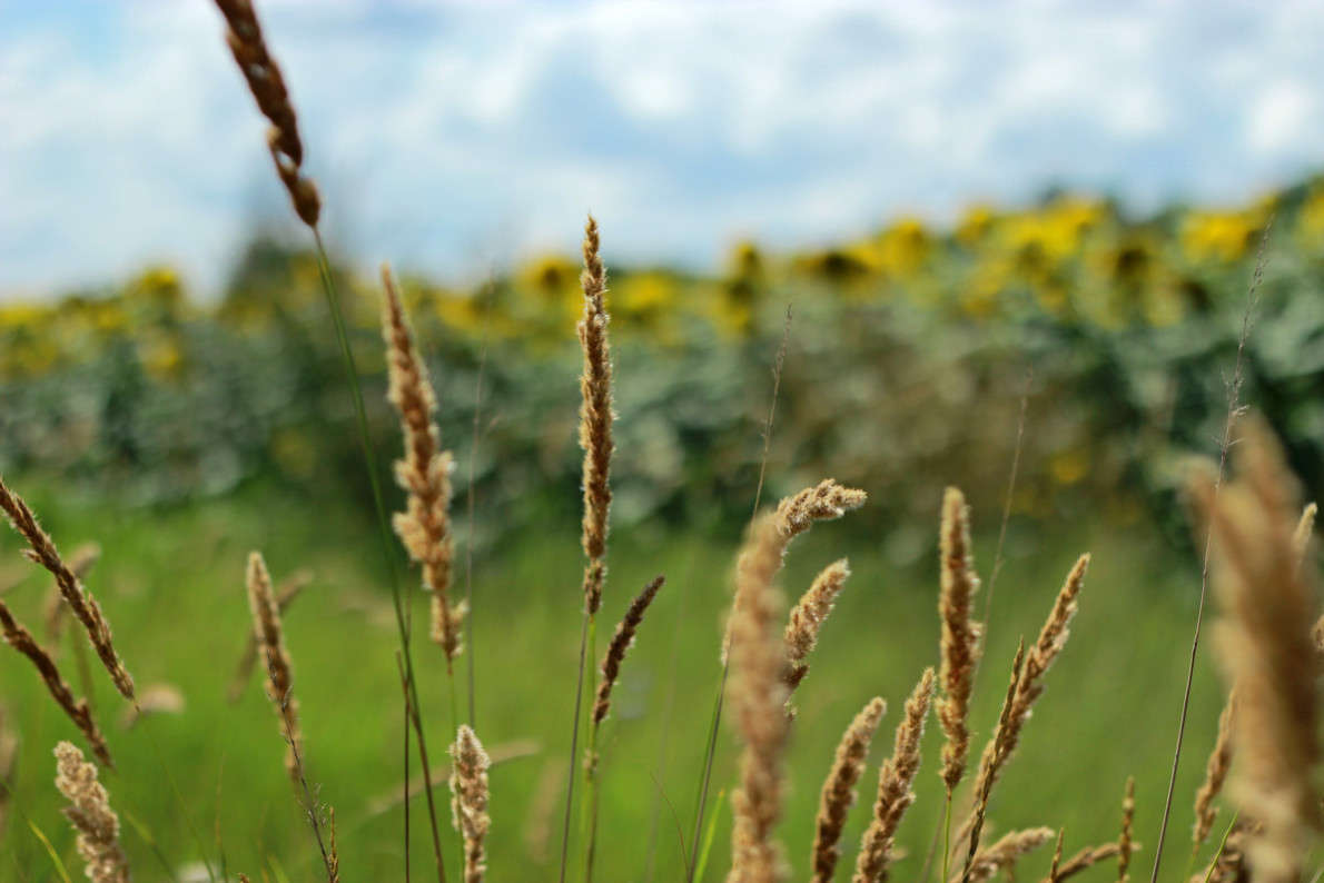 ����� ������ ����� ������ ������� �� PhotoGeek.ru #������ ��� ������� #����� ��������������