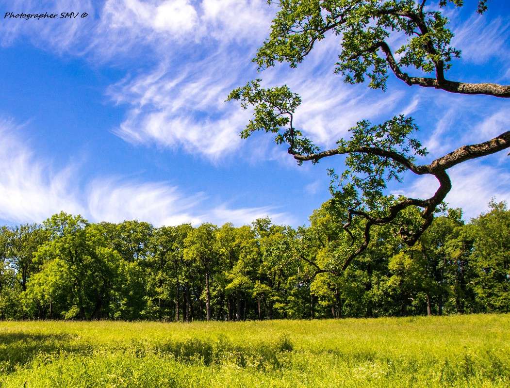 ... ����� ������  �� PhotoGeek.ru #�.������