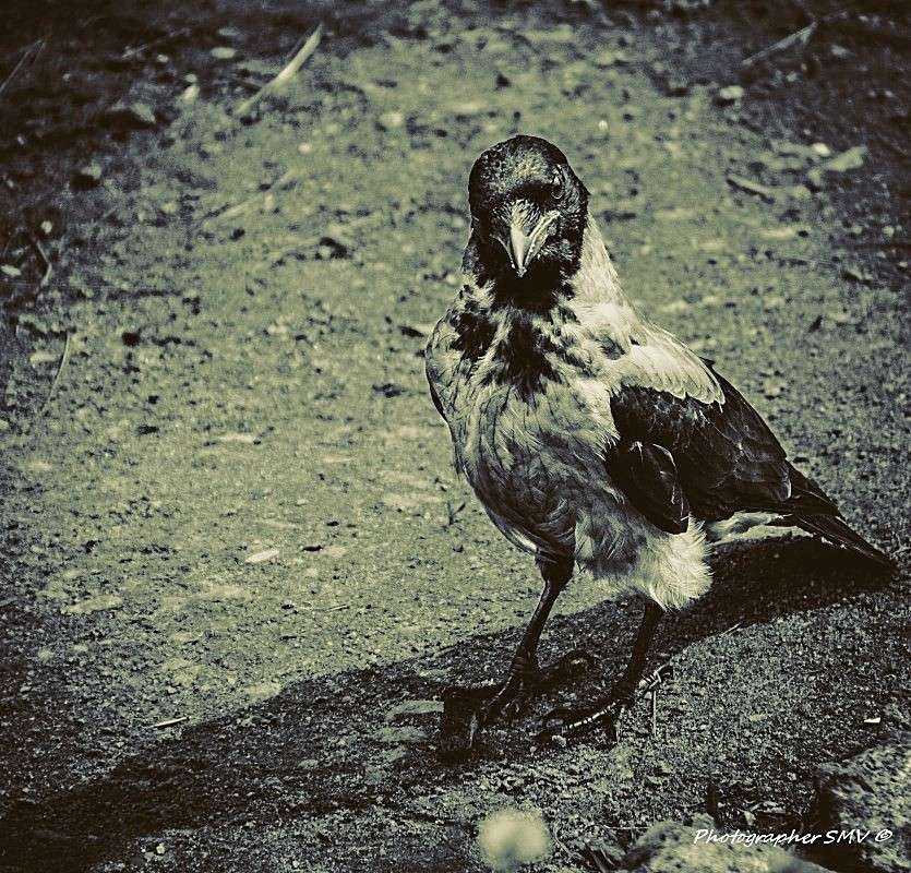 ��������� ����� ����� ������  �� PhotoGeek.ru #�������� ���