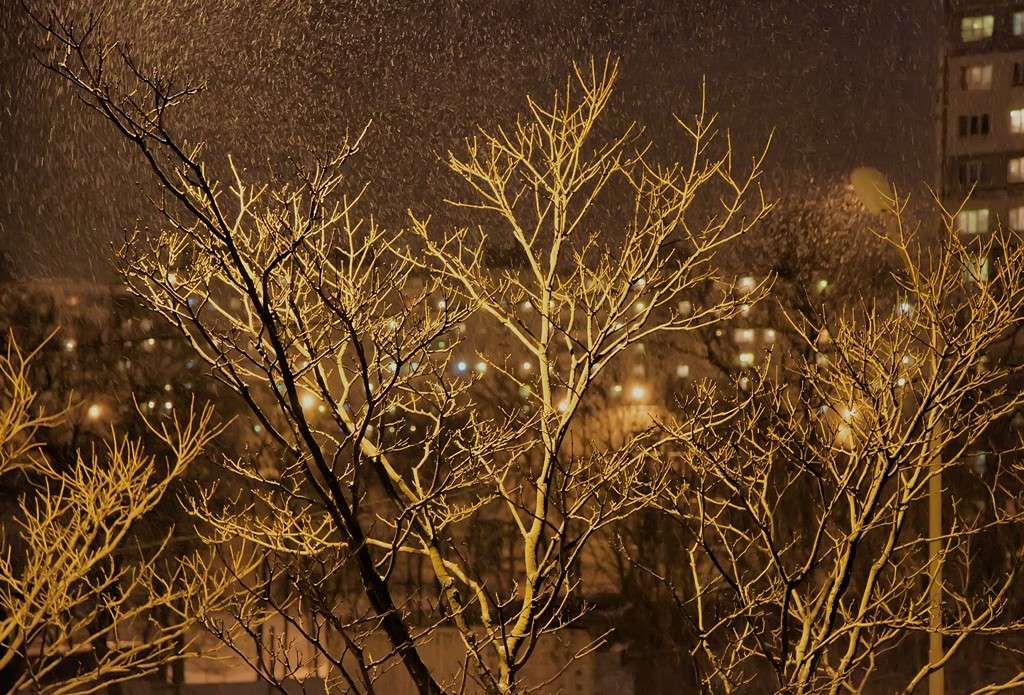    Snow   PhotoGeek.ru #