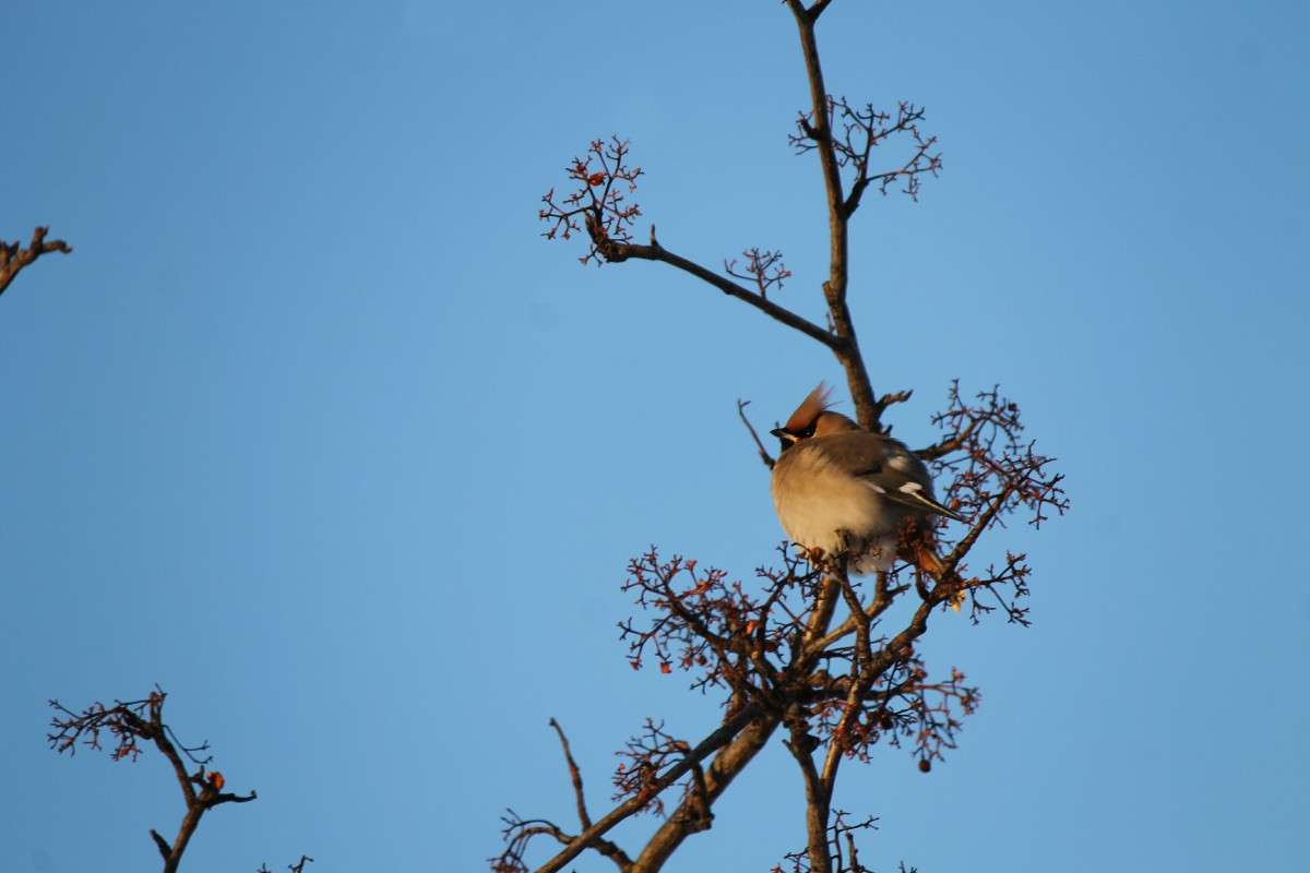 ... ����� �����  �� PhotoGeek.ru #�������� ��� #����� ��� ��� ���������