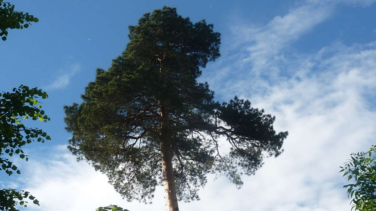 ... ����� ������  �� PhotoGeek.ru #������ ��� �������