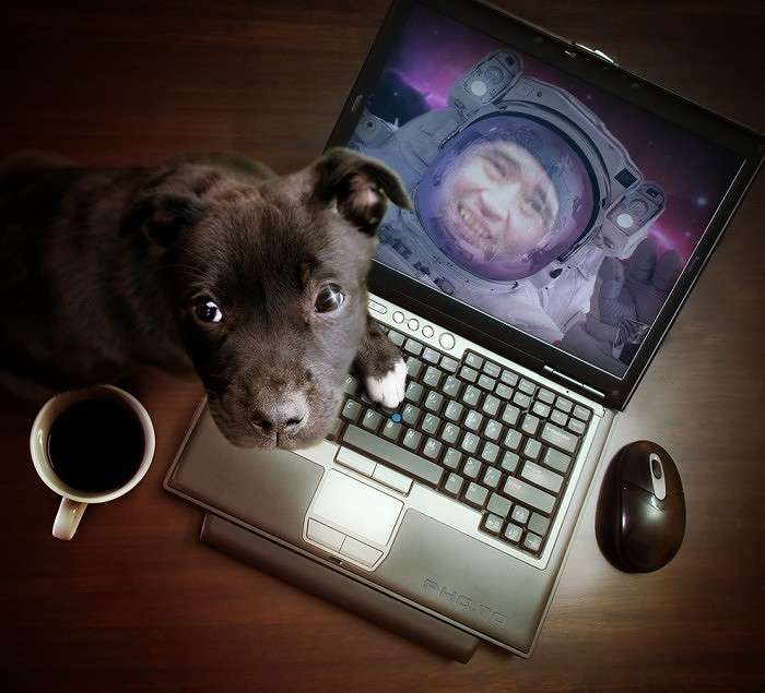 �������! ����� ������  �� PhotoGeek.ru #������