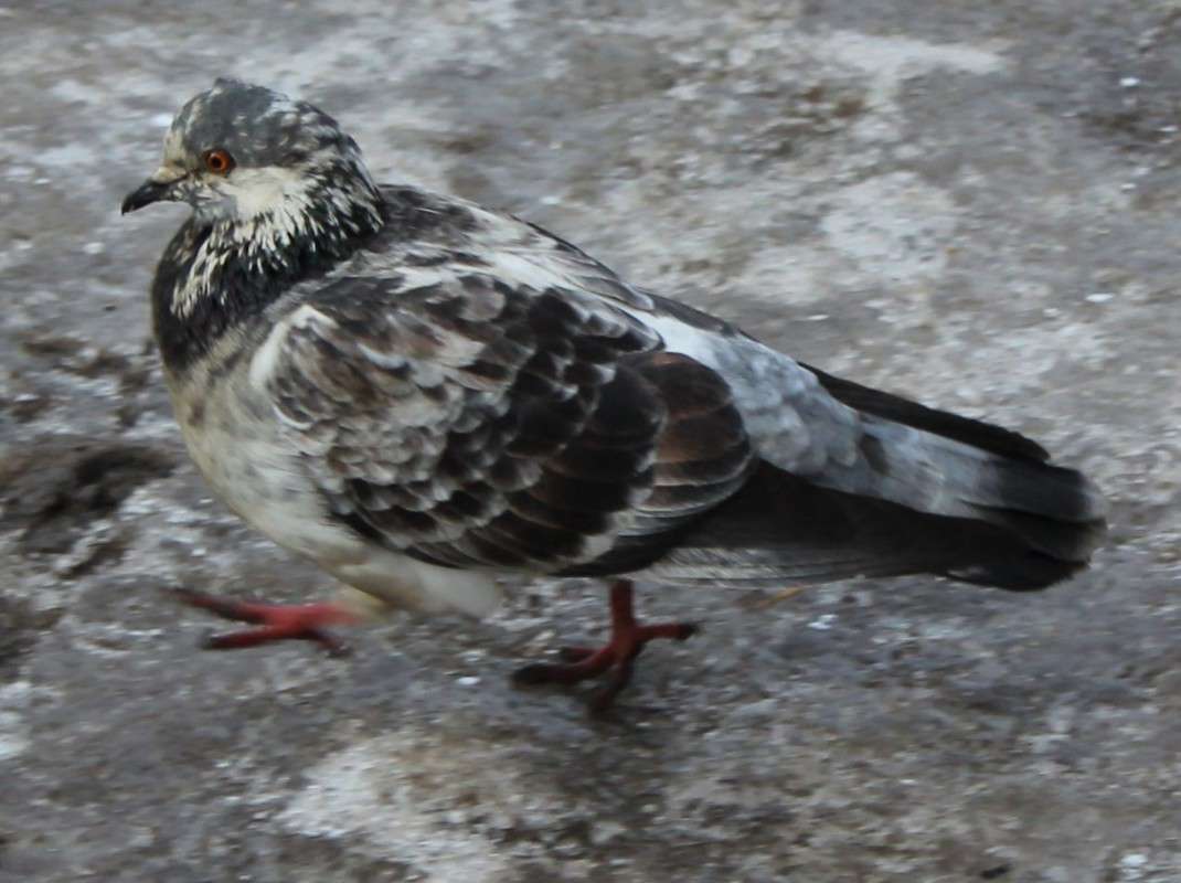 �������� ������� ����� ������  �� PhotoGeek.ru #�������� ��� #����� ��� ��� ���������