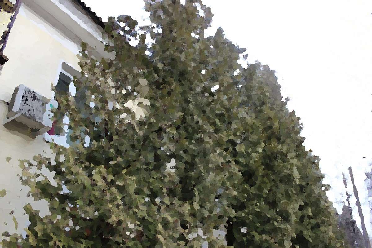 ������� � ���� ����� ������  �� PhotoGeek.ru #����� #��������� ������