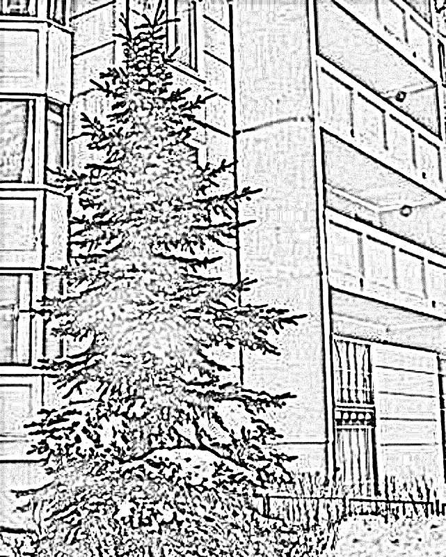 ���.������� ���������� ����� ������  �� PhotoGeek.ru #�����