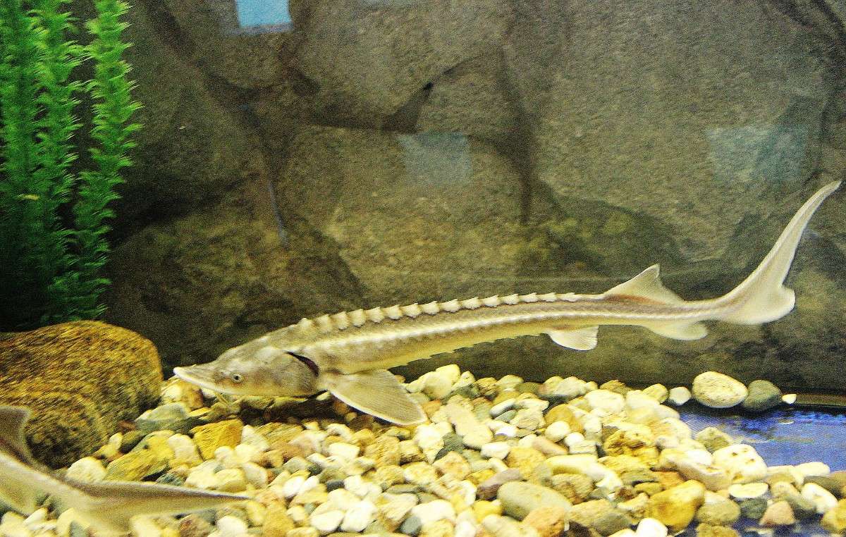 ����� ����� ������  �� PhotoGeek.ru #�������� ��� #����� ��� ��� ���������