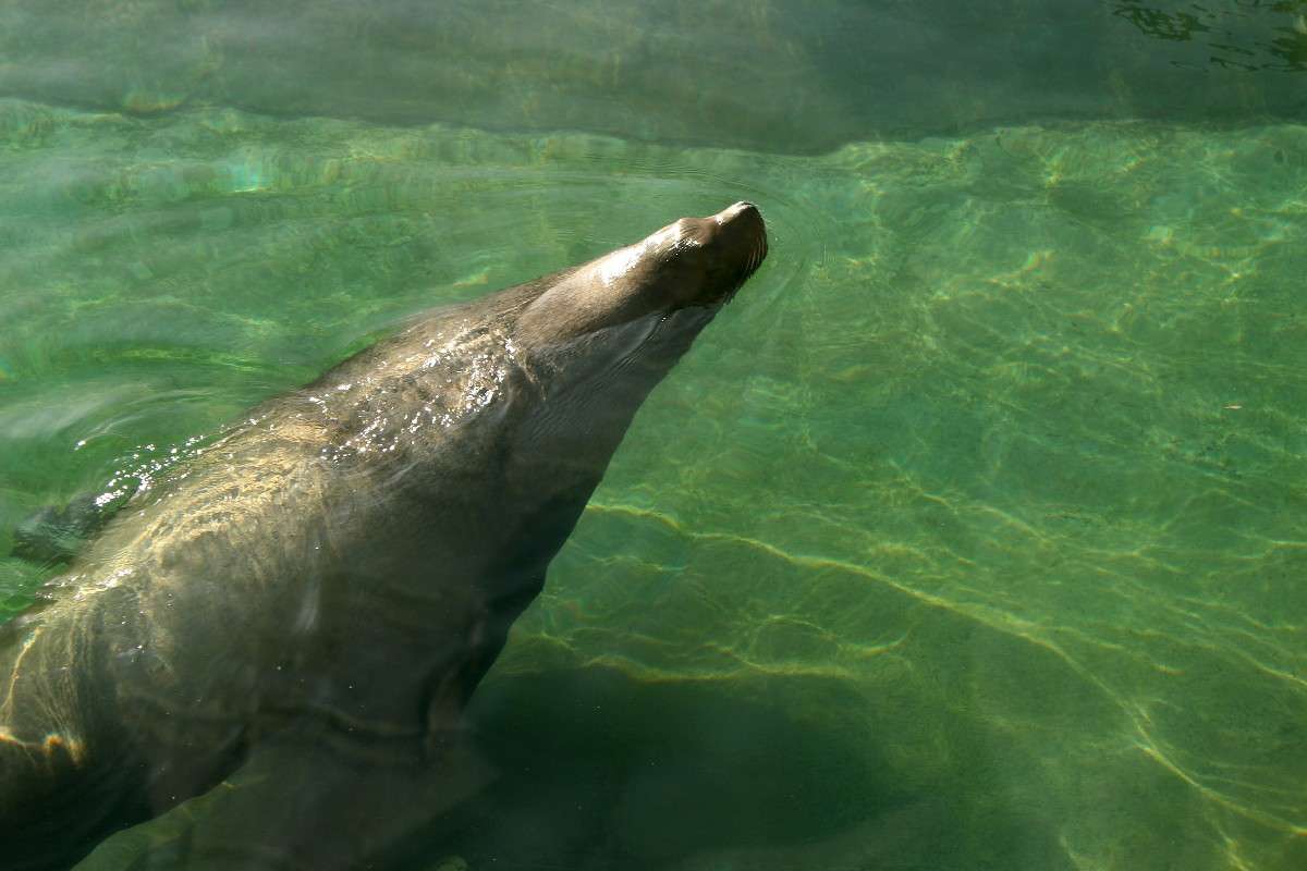 ������-������ ����� ������  �� PhotoGeek.ru #�������� ��� #����� ��� ��� ���������