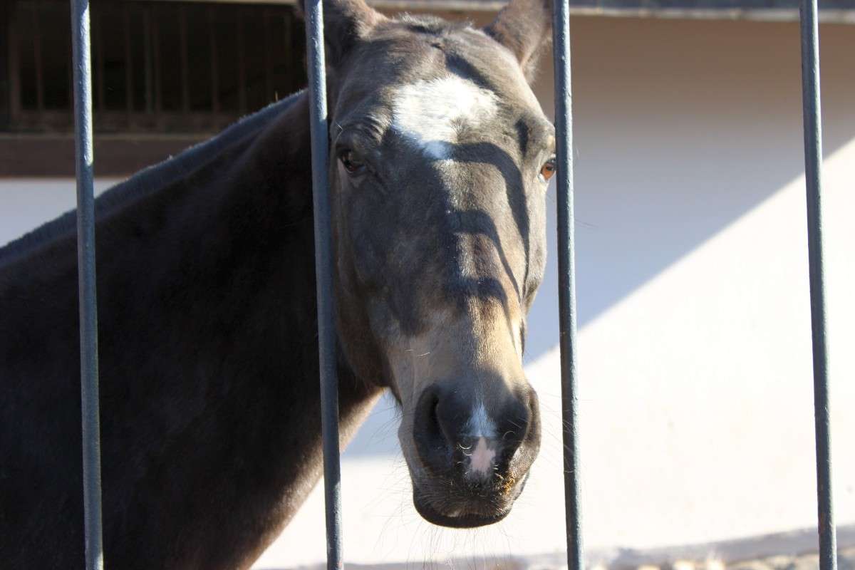 �������� ������� ����� ������  �� PhotoGeek.ru #�������� ���