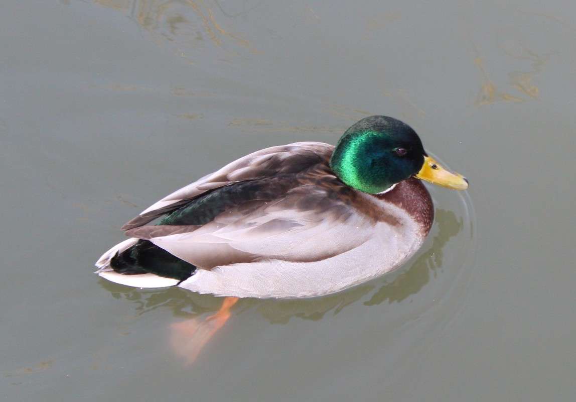 �������� ����� ������  �� PhotoGeek.ru #�������� ��� #����� ��� ��� ���������